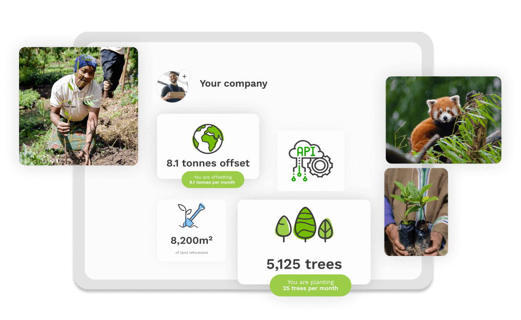 Treeapp's B2B Dashboard