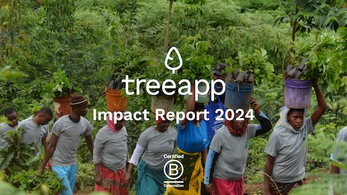 Impact Report 2024 cover