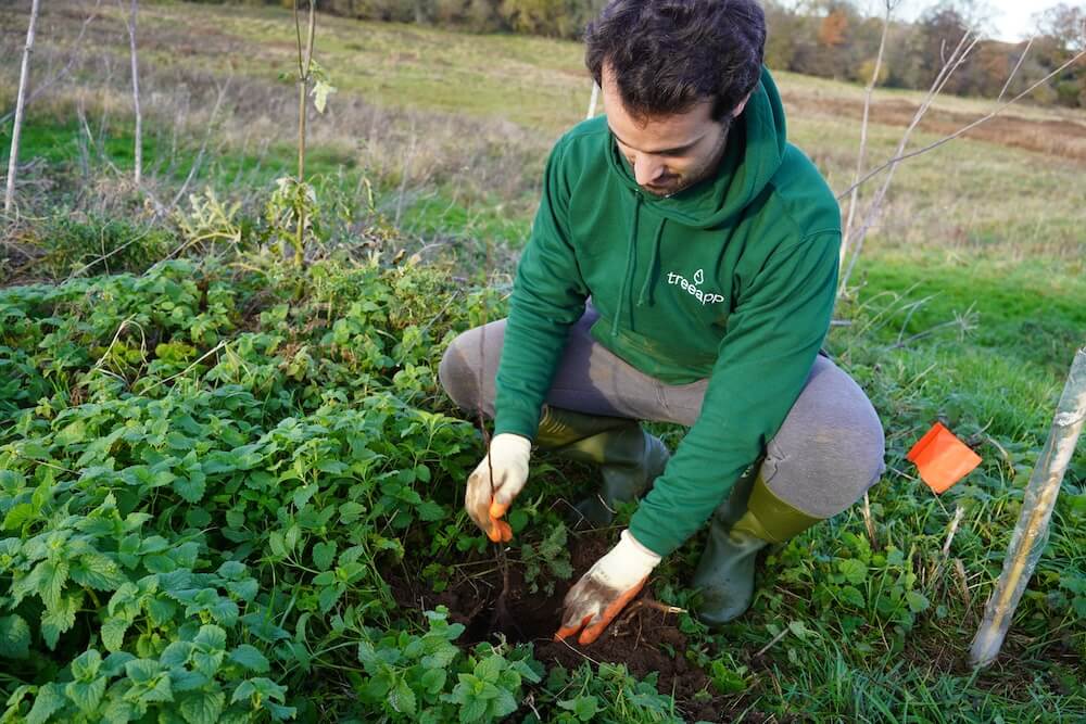 The Treeapp team planting trees in Northampton