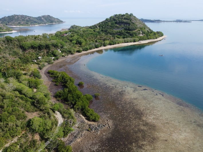 Treeapp’s Planting Sites on Lombok island