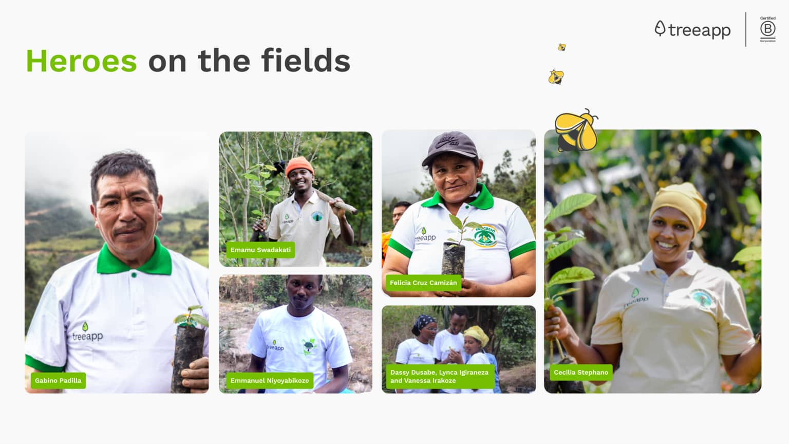 Tree planters on our sites