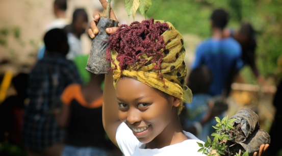 Local Treeapp worker carrying trees from the tree nurseries in Bubanza and Cibitoke