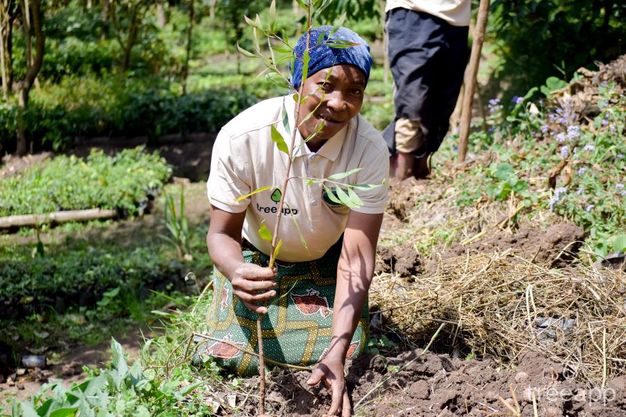 Tree planter in Tanzania