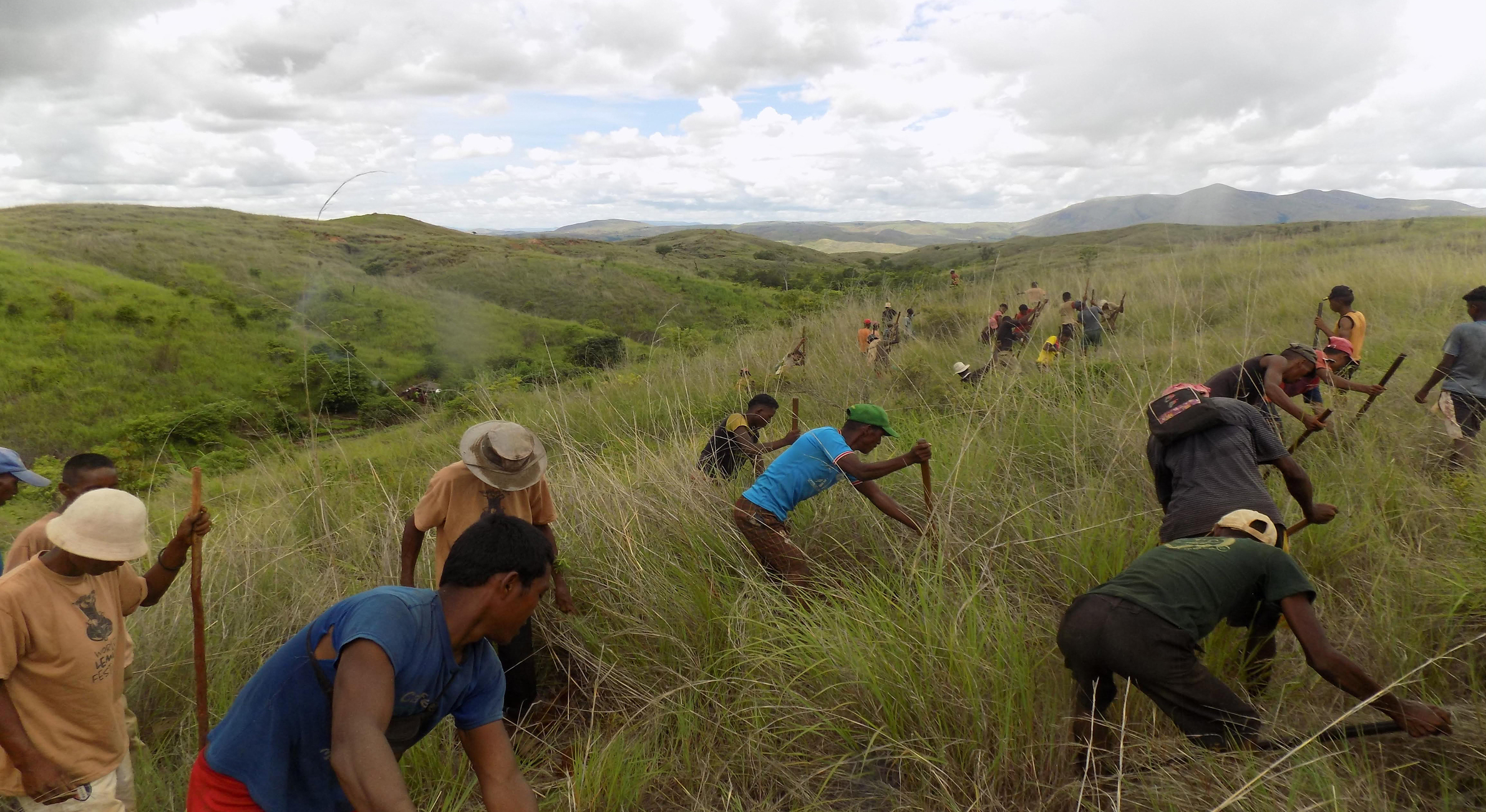 Treeapp-planting-trees-in-madagascar
